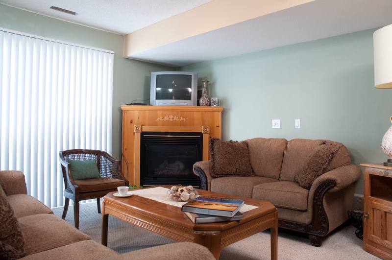 1212 Hanley Rd #2, Hudson, WI 54016 - Townhouse for Rent - Image 3