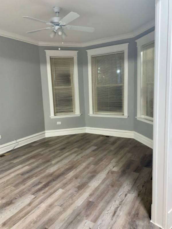 6629 S Green, 1st Floor, Chicago, IL 60621 - Apartment for Rent - Image 3
