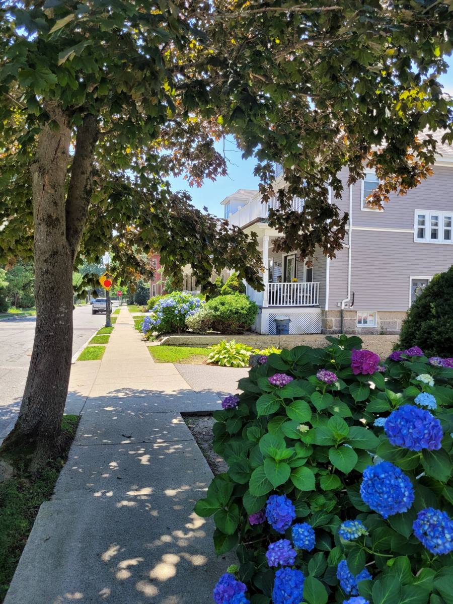 Manager Icon Ash 107 Ash St #1 in New Bedford, MA | 3 Beds 1 Bath 1,400 sqft Apartment ...