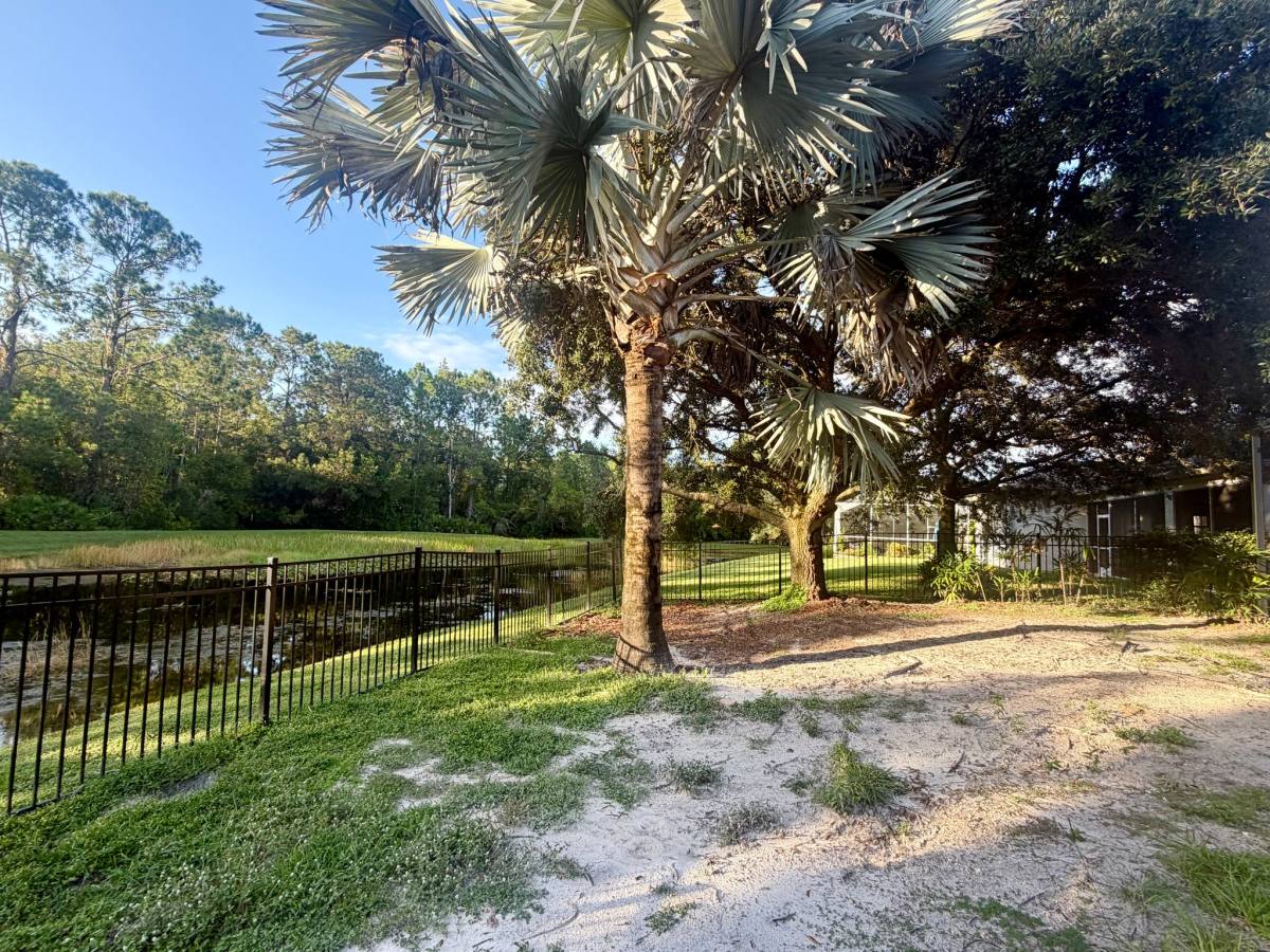 8228 Swann Hollow Dr, Tampa, FL 33647 - House for Rent - Image 3
