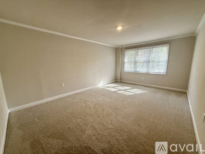 1302 Saville St, Georgetown, SC 29440 - House for Rent - Image 8