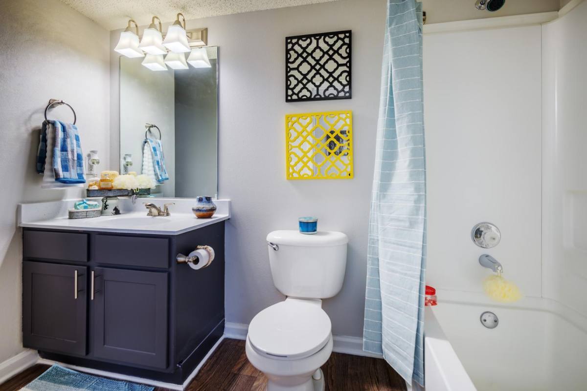 Apartment for rent at Colonial Village at Greystone, 9610 Stoney Glen Dr, Charlotte, NC 28227