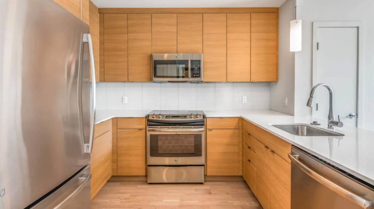 50 Malden St, Boston, MA 02118 - Apartment for Rent - Image 2