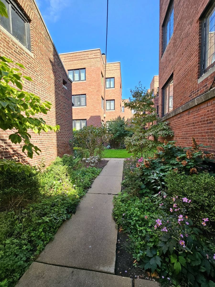 5656 S Dorchester Ave #1, Chicago, IL 60637 - Condo for Rent - Image 6