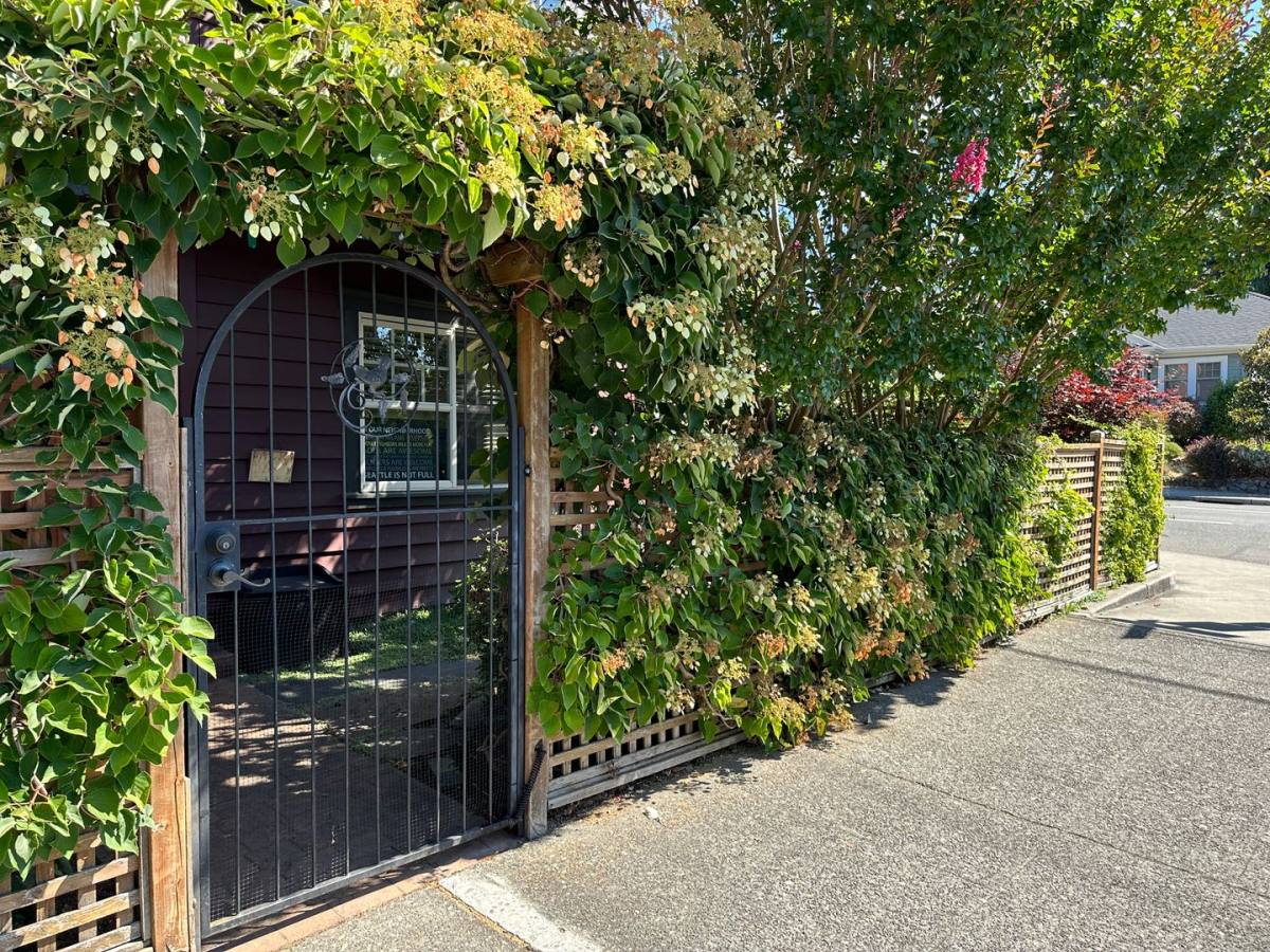 Townhouse for rent at 1036 NE 63rd St, Seattle, WA 98115