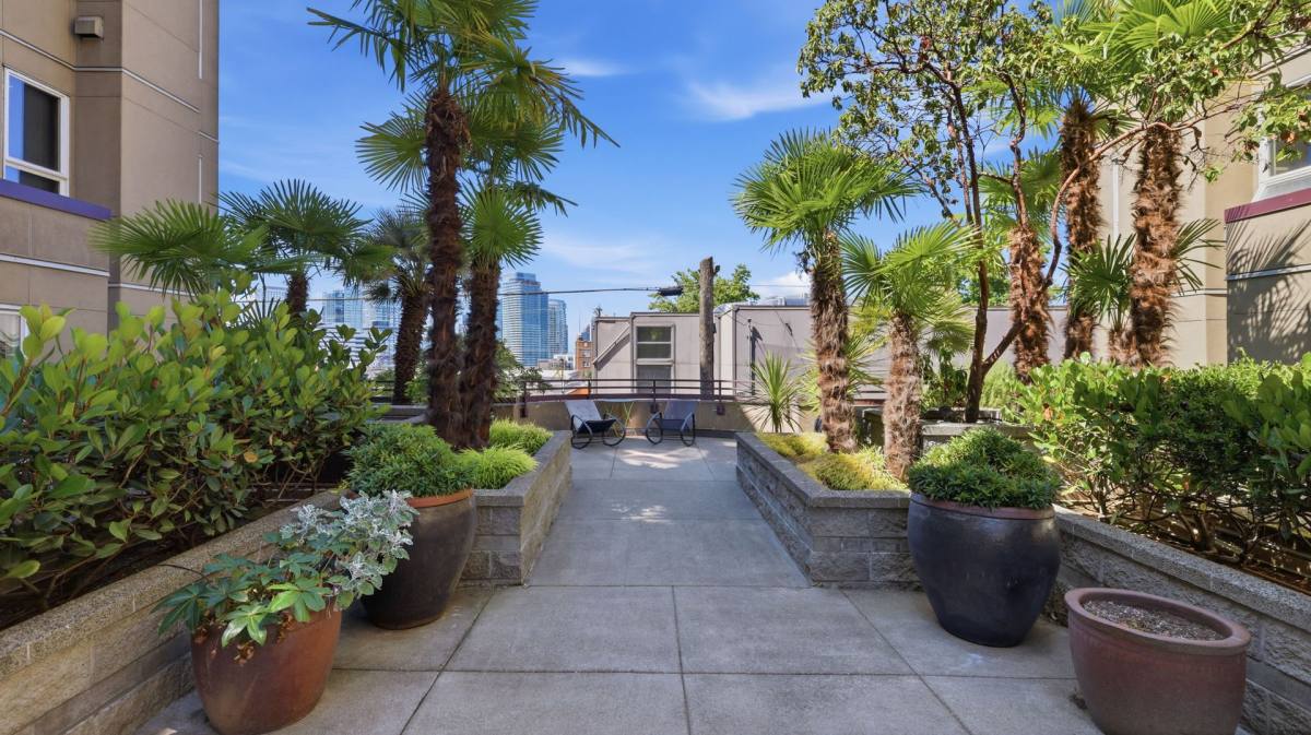 Condo for rent at 1711 E Olive Way #215, Seattle, WA 98102