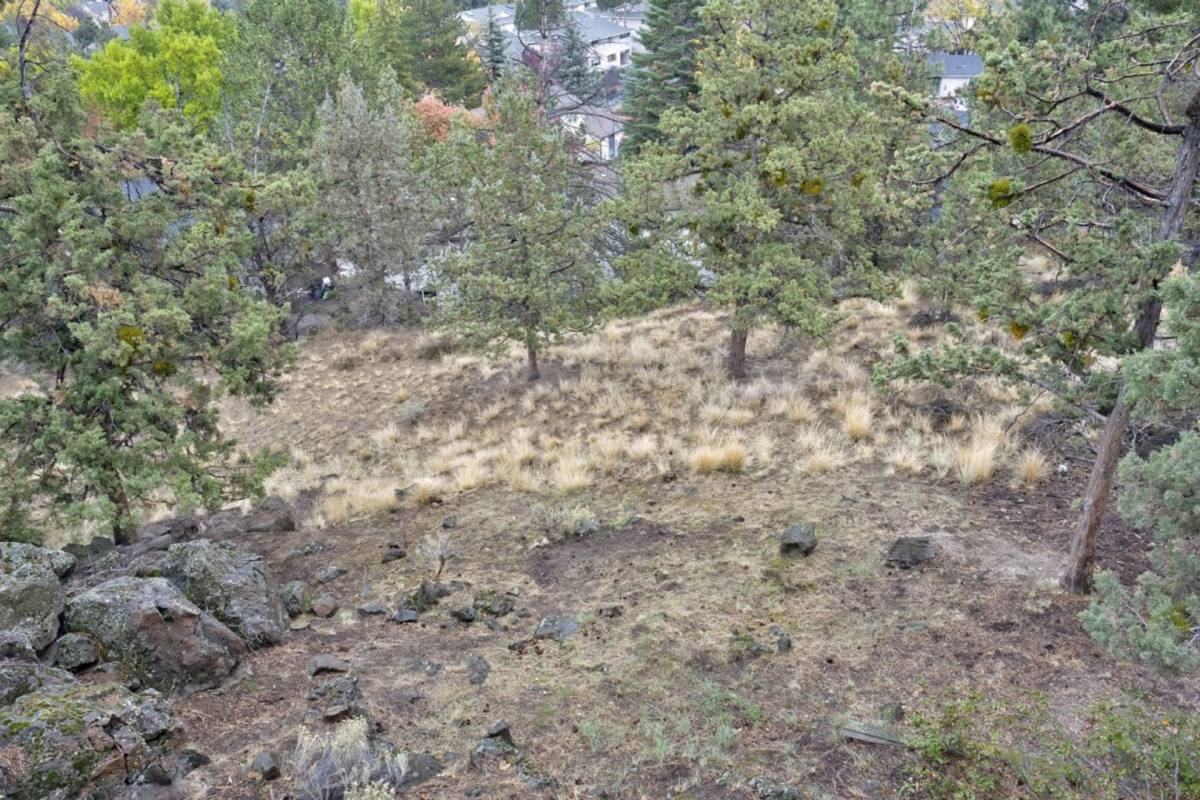 1770 NE Cliff Dr, Bend, OR 97701 - House for Rent - Image 5