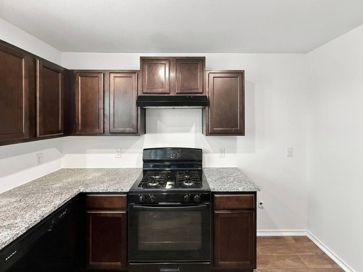 6550 Legato Curve, San Antonio, TX 78252 - House for Rent - Image 5