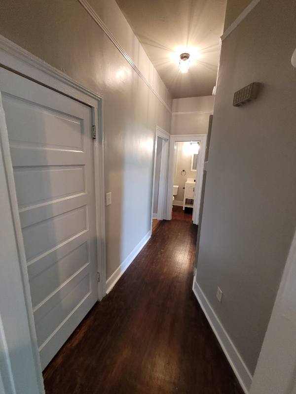 516 N 6th St #1, Wilmington, NC 28401 - Apartment for Rent - Image 8