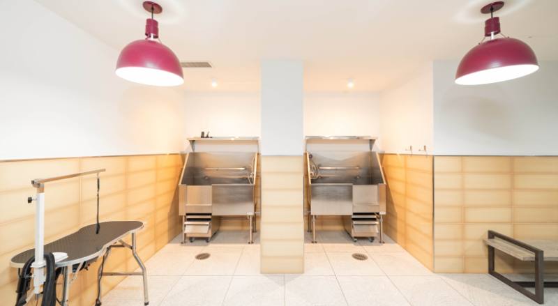 163 N Desplaines St, Chicago, IL 60661 - Apartment for Rent - Image 7