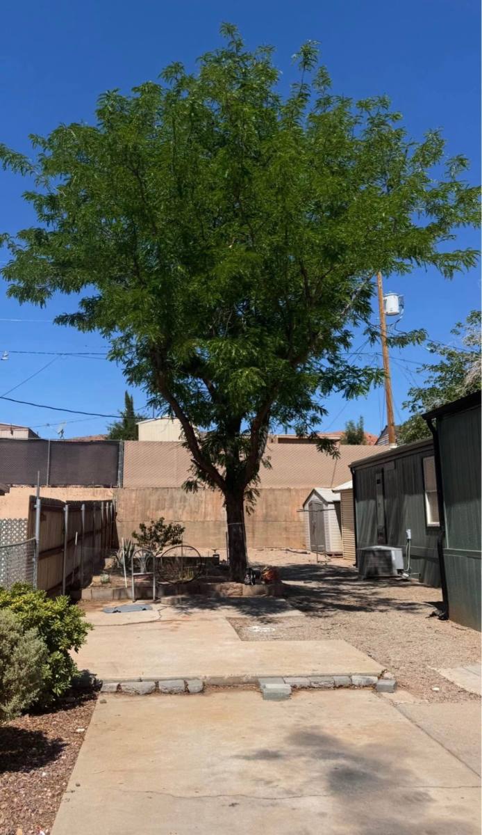 733 N 1100 E, St. George, UT 84770 - House for Rent - Image 2