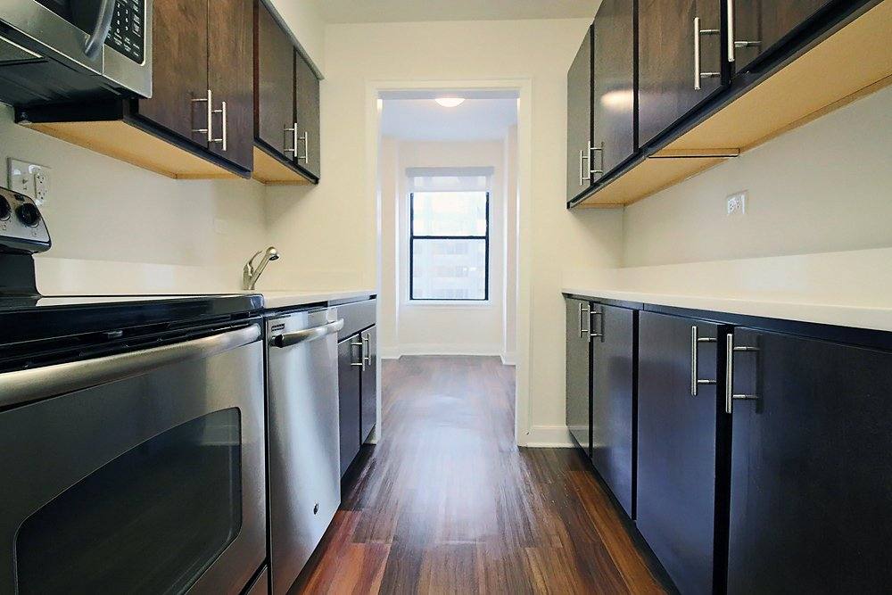 197 E Chestnut St, Chicago, IL 60611 - Apartment for Rent