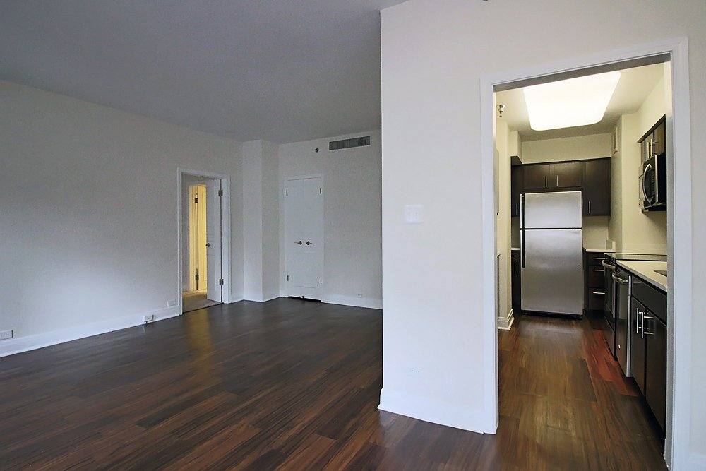 197 E Chestnut St, Chicago, IL 60611 - Apartment for Rent - Image 3