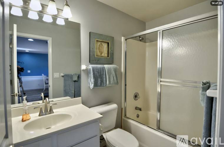 4800 Eagleview Dr #341, Osage Beach, MO 65065 - Apartment for Rent - Image 4