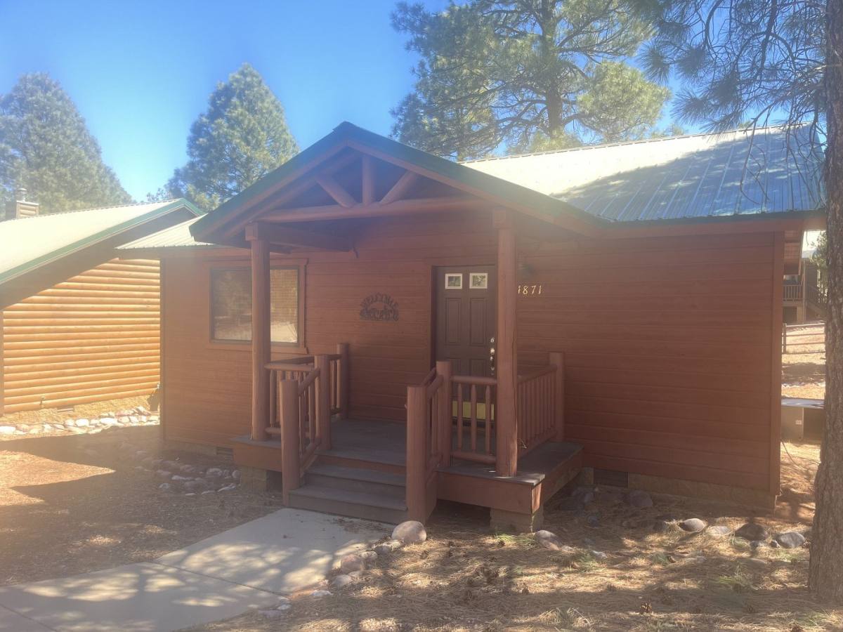 4871 W Cottage Loop, Show Low, AZ 85901 - House for Rent - Image 2