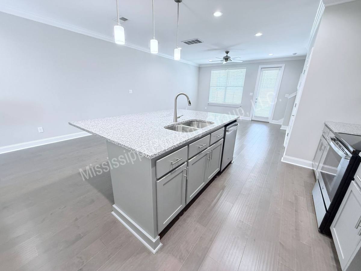 120 Honeysuckle Way, Oxford, MS 38655 - Townhouse for Rent - Image 10