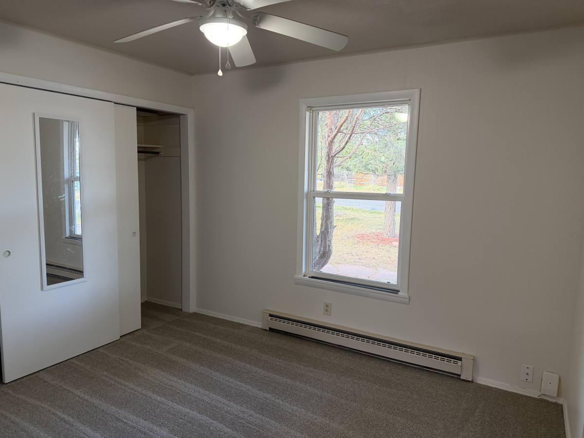 919 N Fullview St, Woodland Park, CO 80863 - House for Rent - Image 9