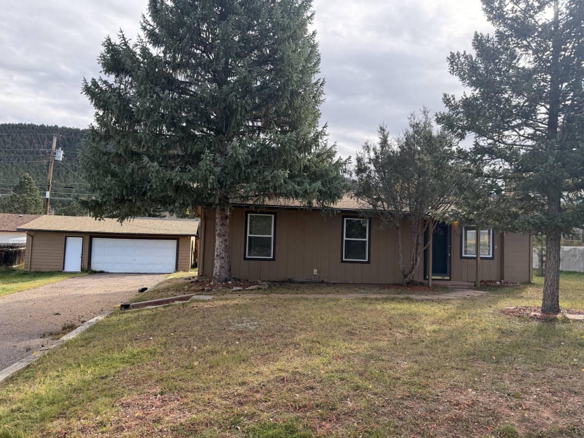 919 N Fullview St, Woodland Park, CO 80863 - House for Rent - Image 1