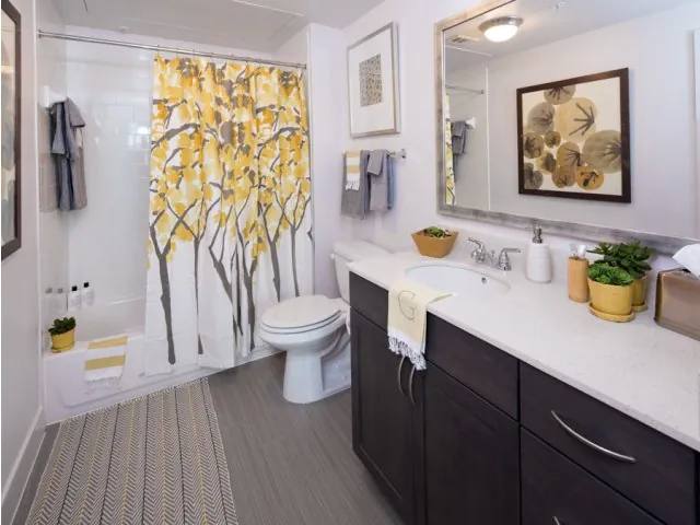 3427 Cedar Springs Rd, Dallas, TX 75219 - Apartment for Rent - Image 8