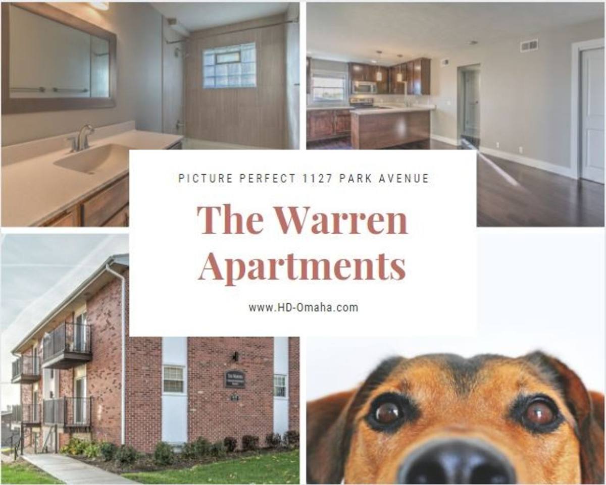 The Warren, 1137 Park Ave, Omaha, NE 68105 - Apartment for Rent - Image 4