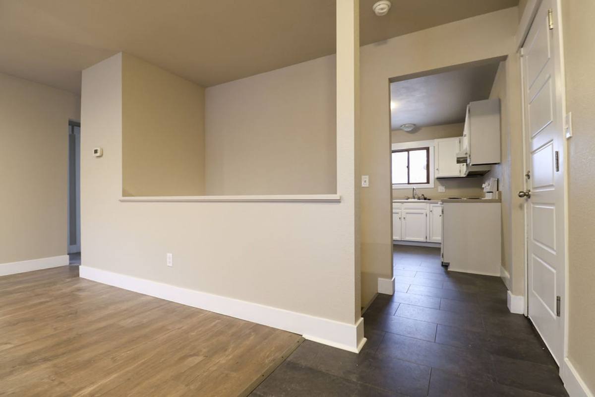 1103 Cottonwood Dr, Windsor, CO 80550 - House for Rent - Image 1