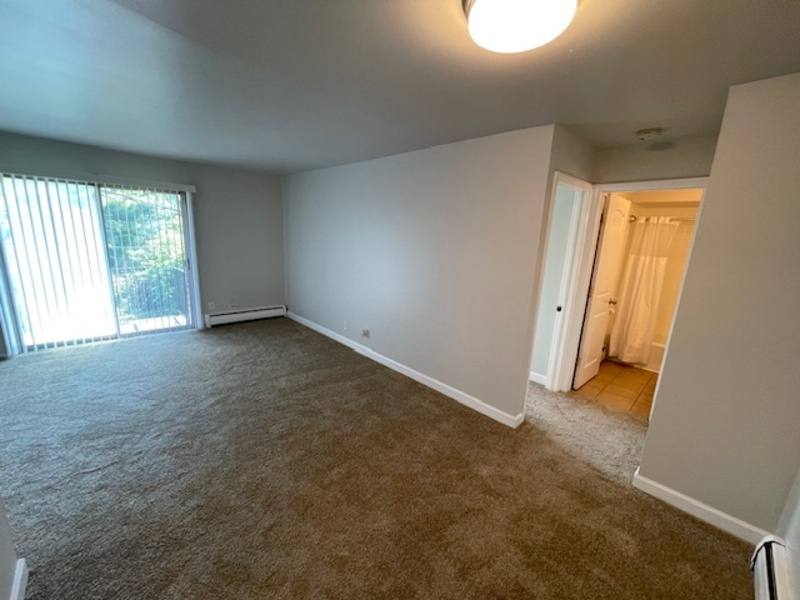 932 W Rollins Rd #E, Round Lake, IL 60073 - Apartment for Rent - Image 4