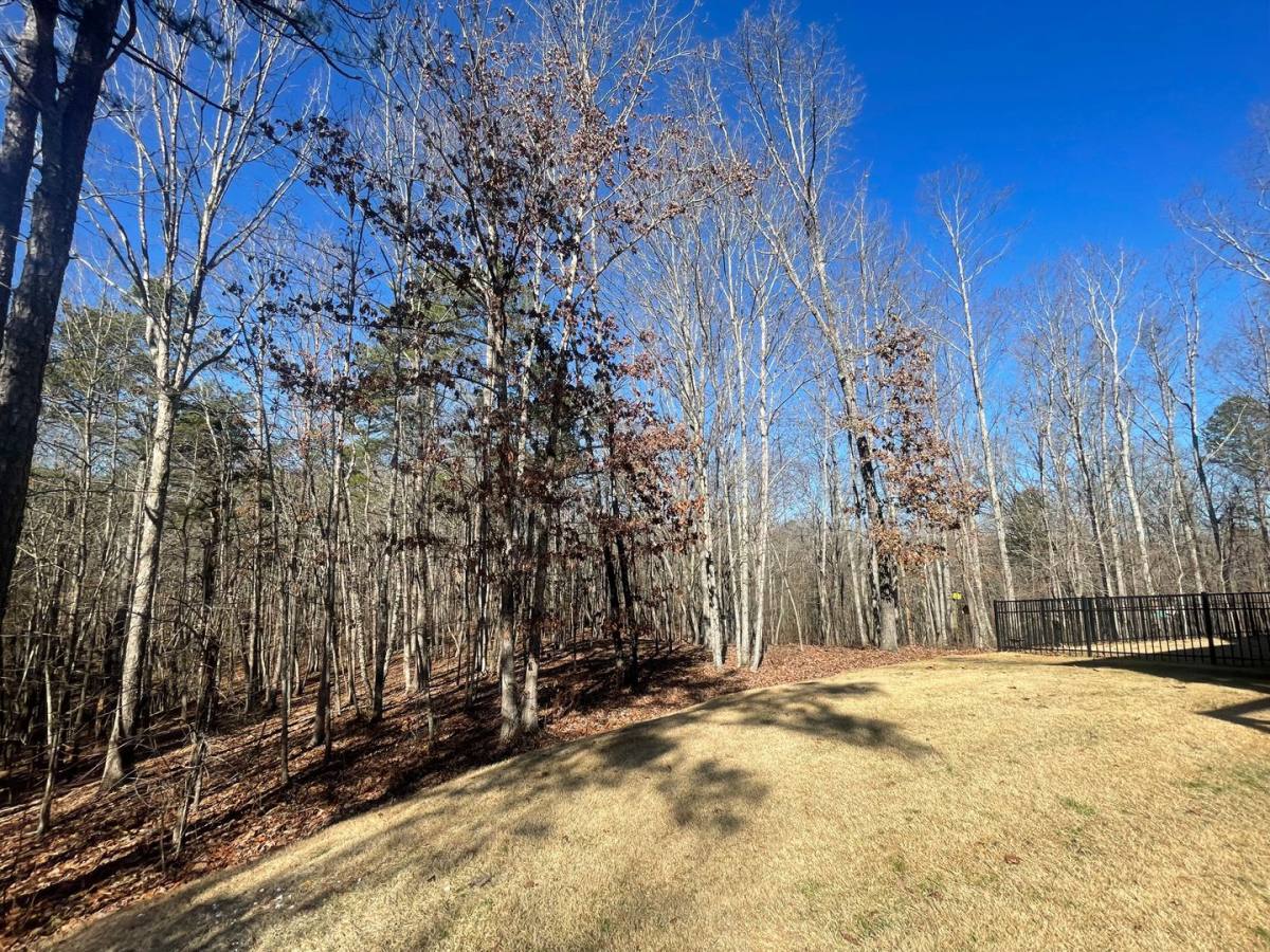588 Nature Trail, Soddy Daisy, TN 37379 - House for Rent - Image 3