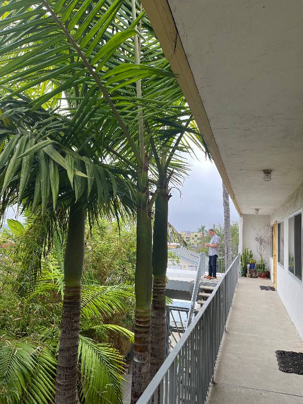 3911 Oregon St #11, San Diego, CA 92104 - Apartment for Rent - Image 4