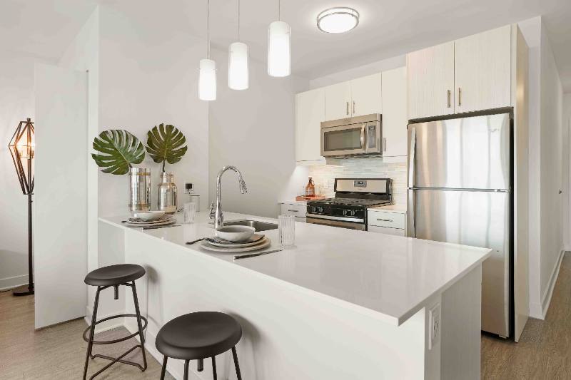 981 S State St, Chicago, IL 60605 - Apartment for Rent