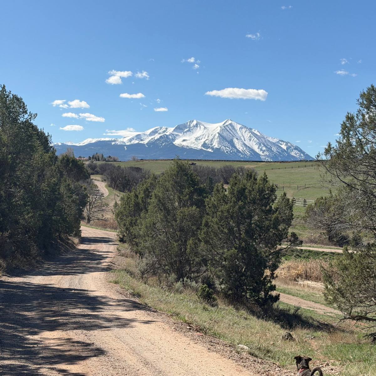 3059 County Rd 103, Carbondale, CO 81623 - House for Rent - Image 5