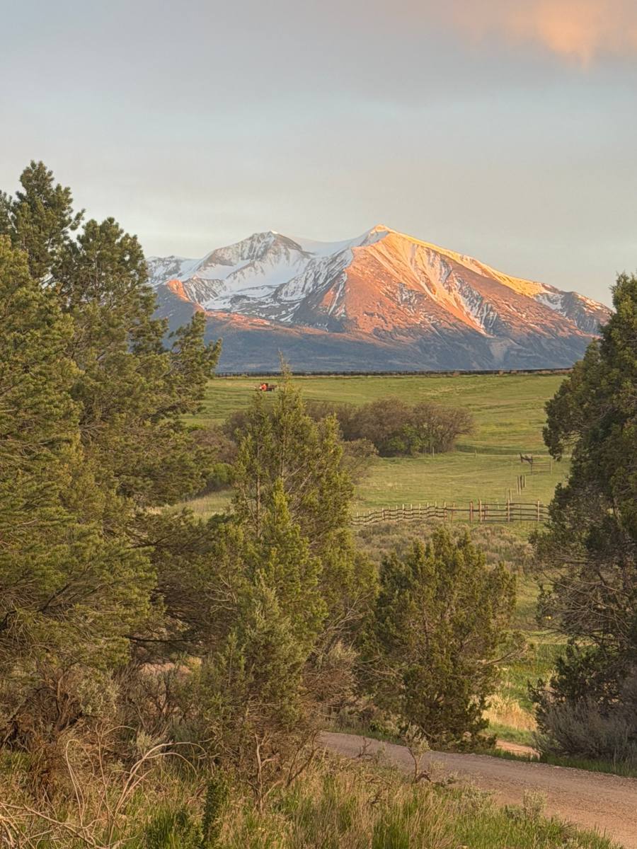 3059 County Rd 103, Carbondale, CO 81623 - House for Rent - Image 3