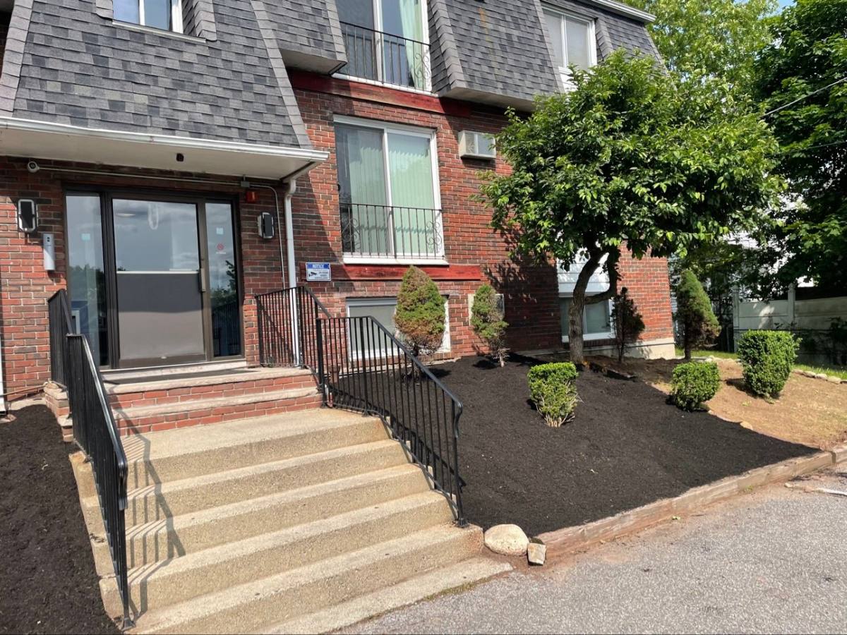 Apartment for rent at 215 Mammoth Rd #3, Lowell, MA 01854