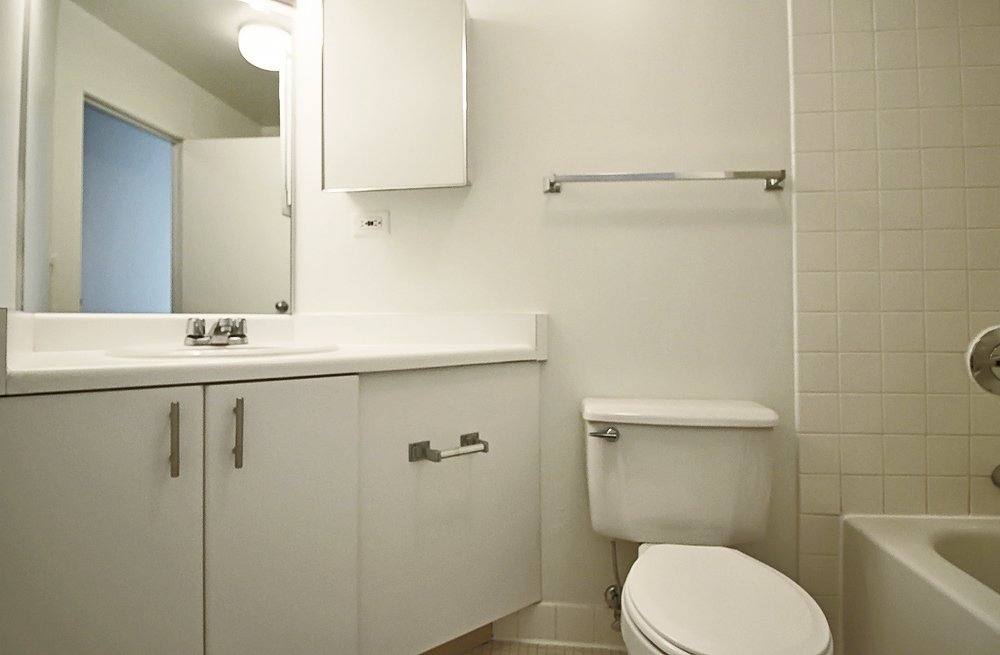 437 E Illinois St #01-3201, Chicago, IL 60611 - Apartment for Rent - Image 2