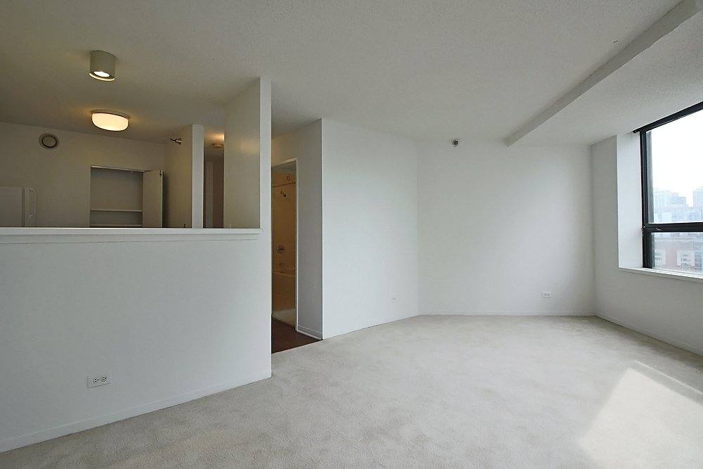 437 E Illinois St #01-3201, Chicago, IL 60611 - Apartment for Rent - Image 5