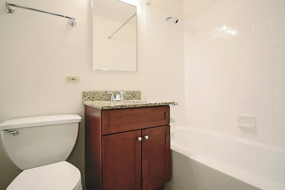 1357 N Astor St, Chicago, IL 60610 - Apartment for Rent - Image 9