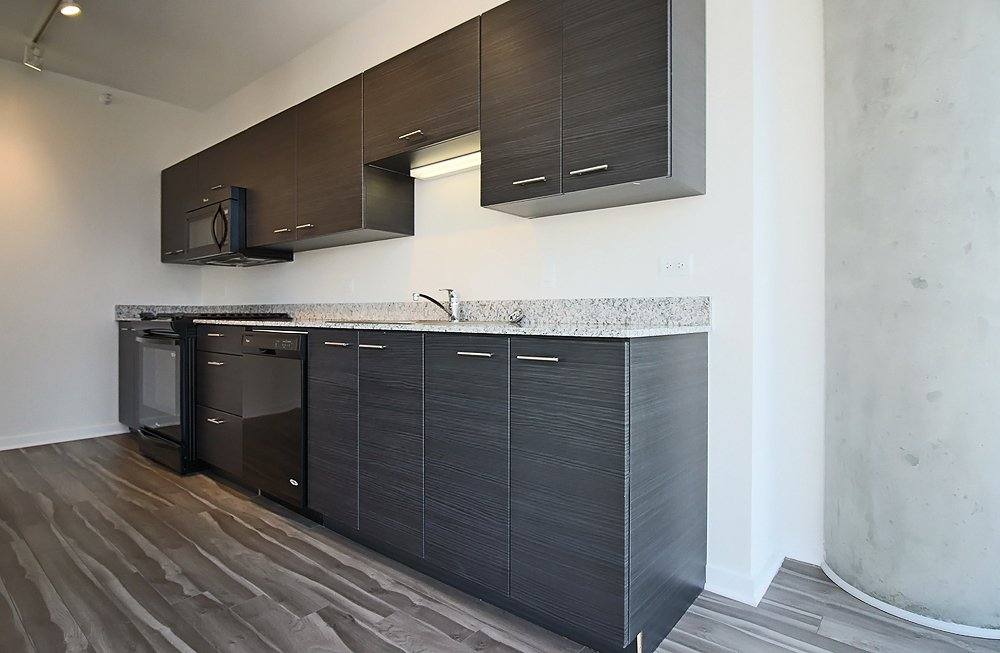 229 W Institute Place #801, Chicago, IL 60610 - Apartment for Rent - Image 3
