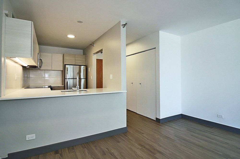 405 E Ontario St #9A, Chicago, IL 60611 - Apartment for Rent - Image 1