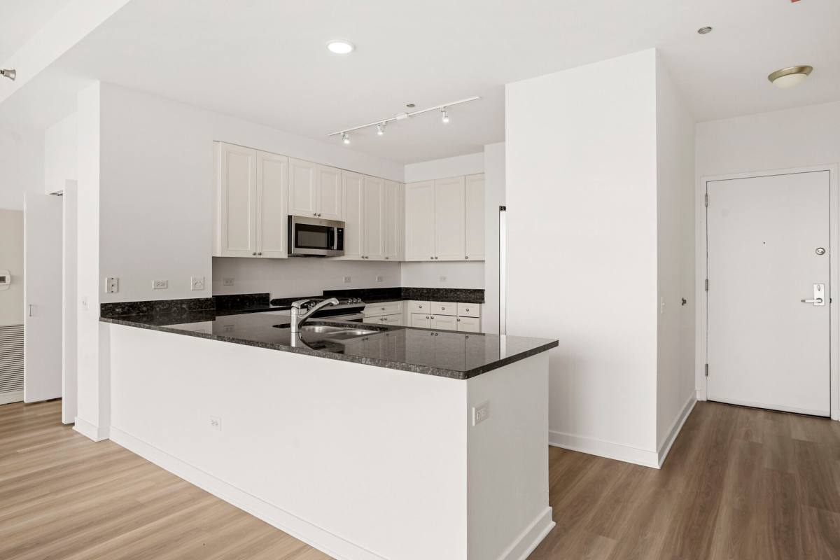709 S Dearborn St #301, Chicago, IL 60605 - Apartment for Rent - Image 8
