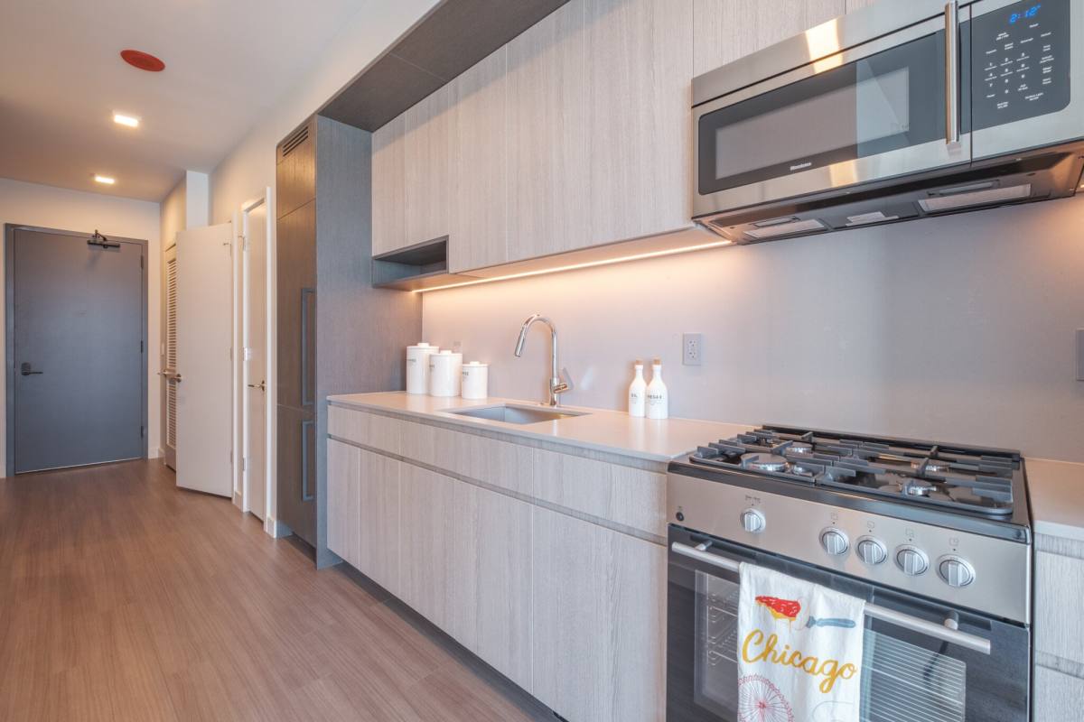 1239 S State St #618, Chicago, IL 60605 - Apartment for Rent - Image 2