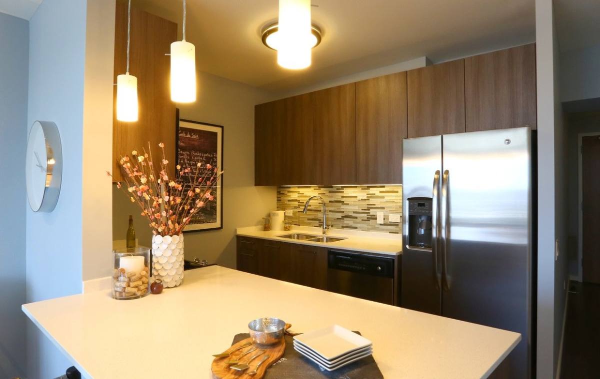 448 N Orleans St #01-0508, Chicago, IL 60654 - Apartment for Rent