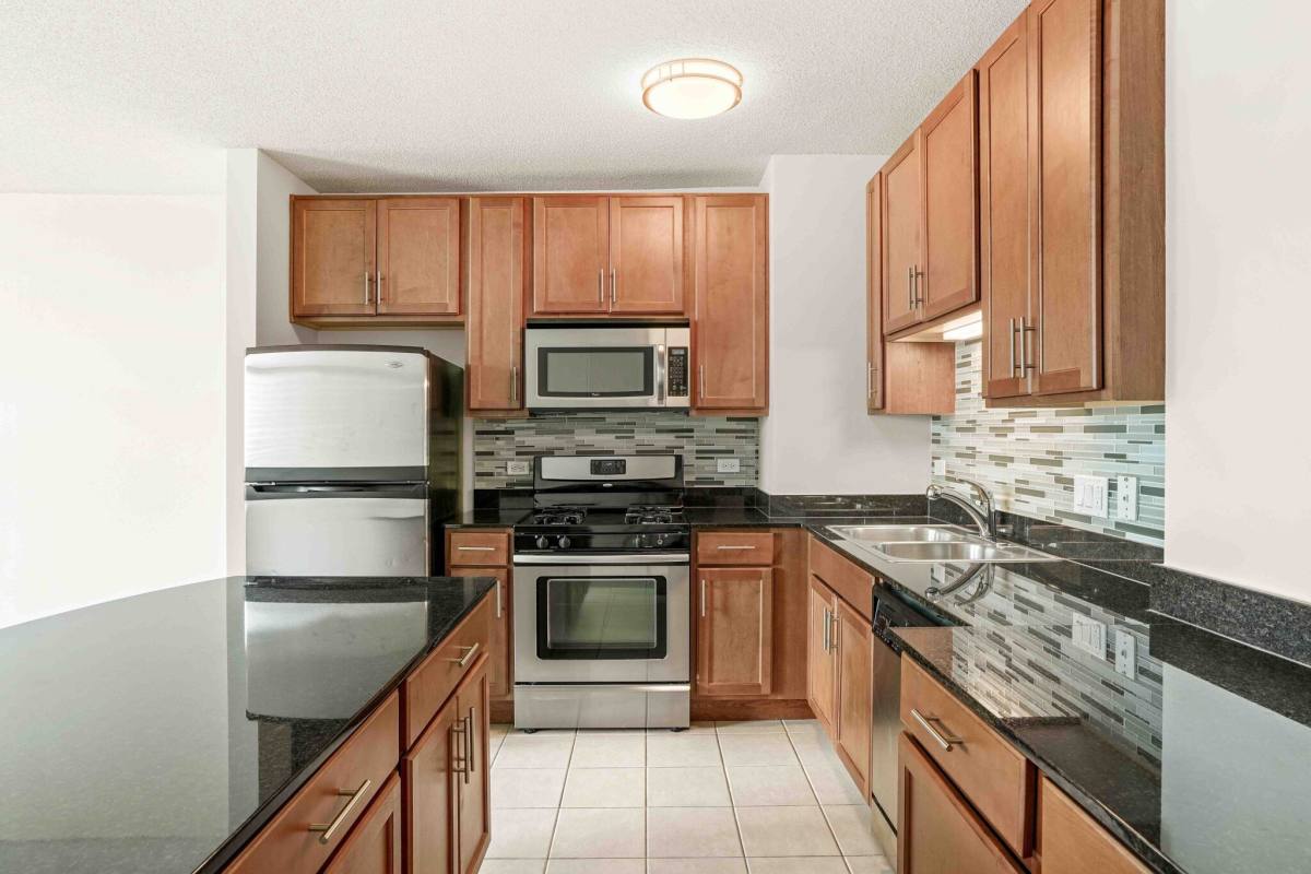 555 W Kinzie St, Chicago, IL 60654 - Apartment for Rent