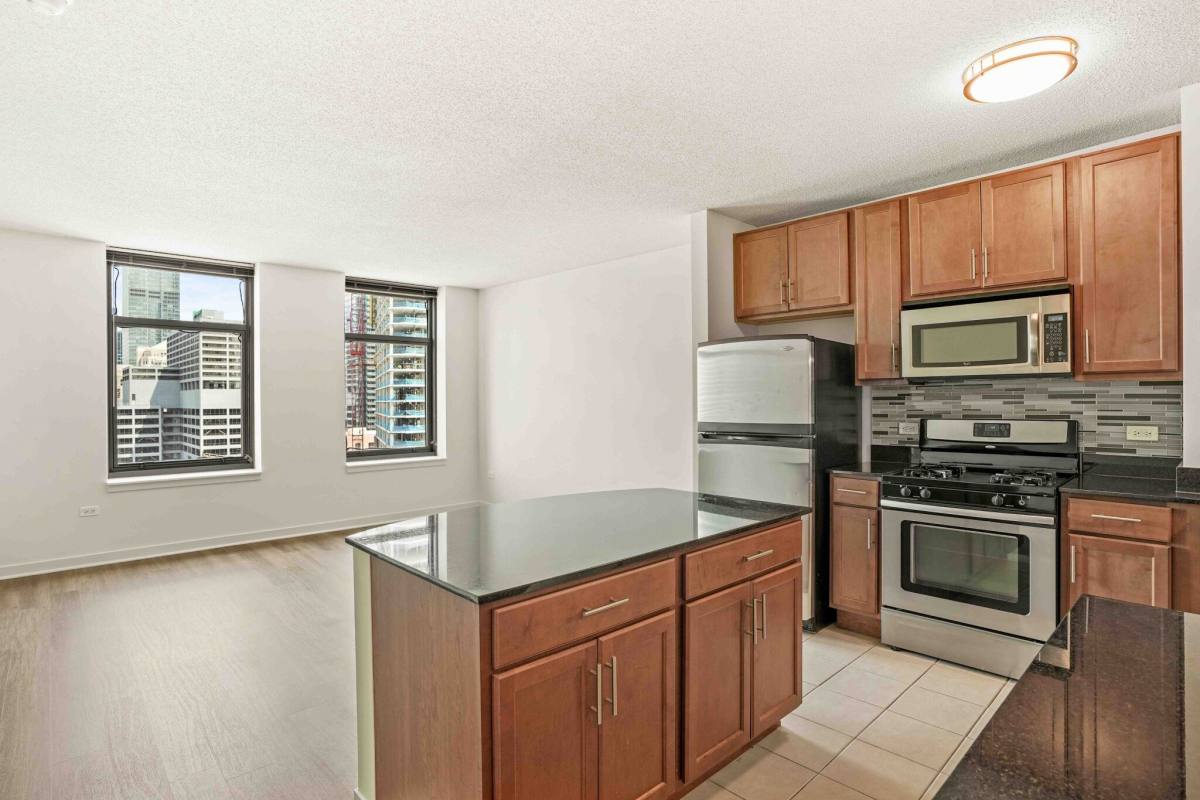 555 W Kinzie St, Chicago, IL 60654 - Apartment for Rent - Image 4