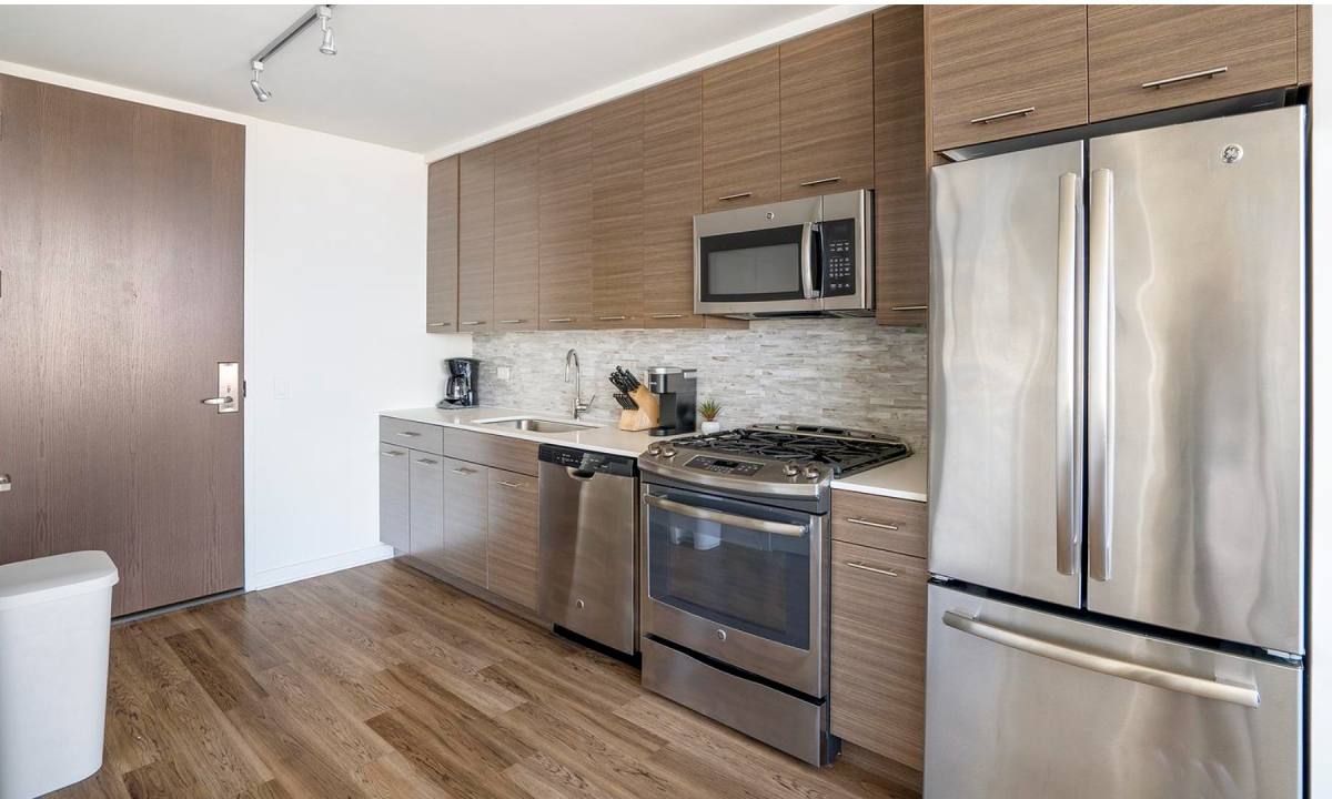 325 W Chestnut St, Chicago, IL 60610 - Apartment for Rent - Image 6