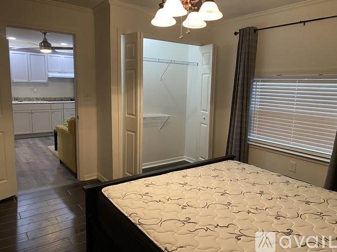 2950 White Magnolia Loop, Clermont, FL 34711 - House for Rent - Image 2