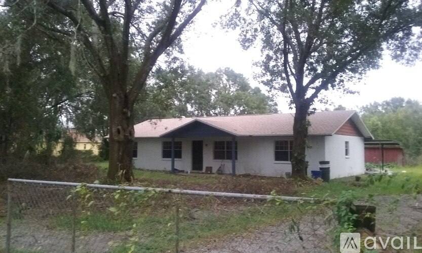 13319 Cain Rd, Tampa, FL 33625 - House for Rent - Image 5