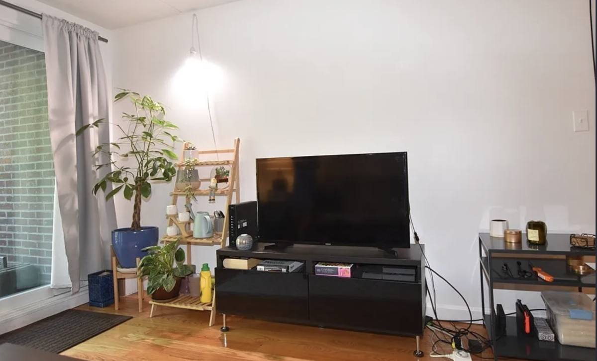 12 Ellery St #205, Cambridge, MA 02138 - Condo for Rent - Image 3