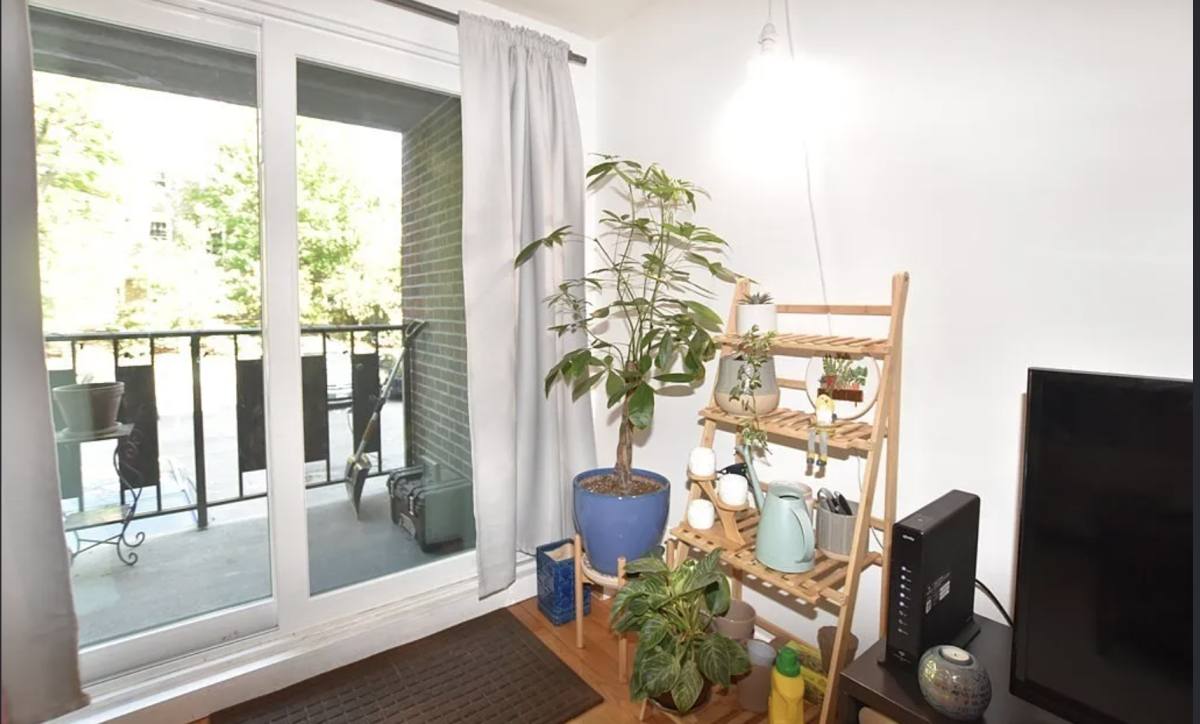 12 Ellery St #205, Cambridge, MA 02138 - Condo for Rent - Image 2