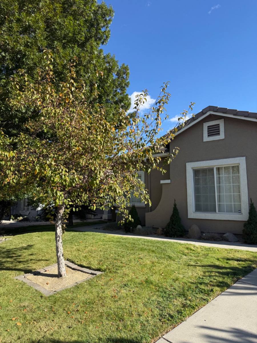 10675 Arbor Way, Reno, NV 89521 - House for Rent - Image 1