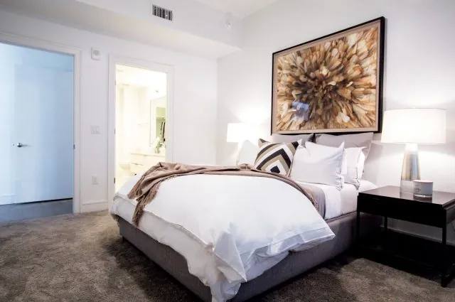 2850 Fannin St #A2-3, Houston, TX 77002 - Apartment for Rent - Image 3