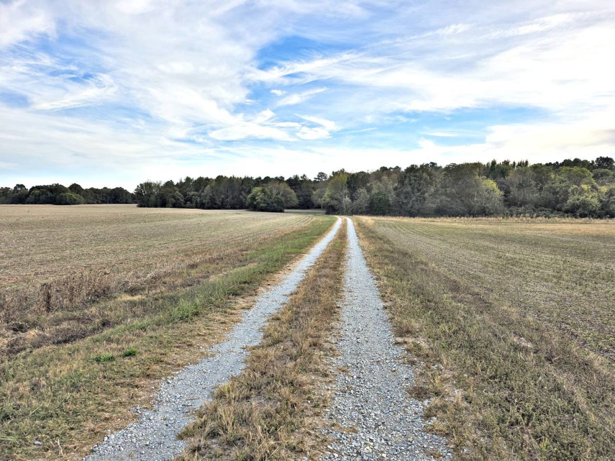 26268 Copeland Rd, Athens, AL 35613 - House for Rent - Image 2